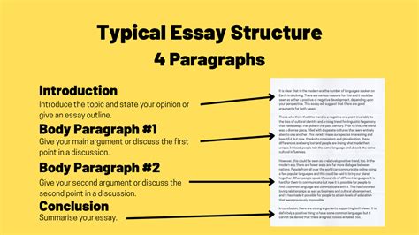 how to write a 4 paragraph essay: a unique perspective on the structure and purpose